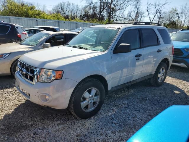 2009 Ford Escape XLT