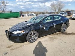 Salvage cars for sale at Baltimore, MD auction: 2020 Nissan Maxima SV
