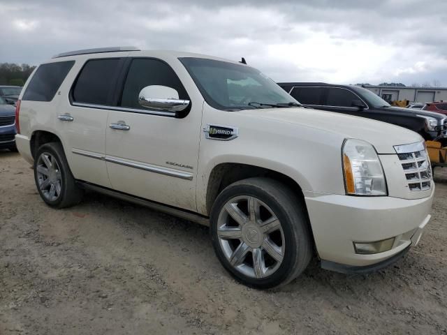 2012 Cadillac Escalade Hybrid