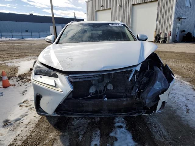 2019 Lexus NX 300 Base