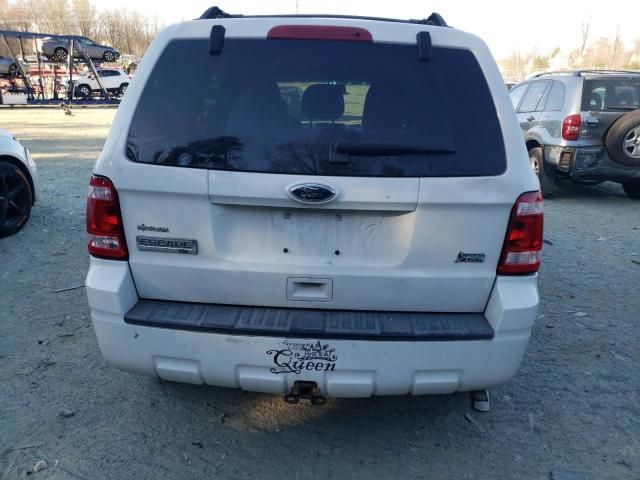 2010 Ford Escape XLT