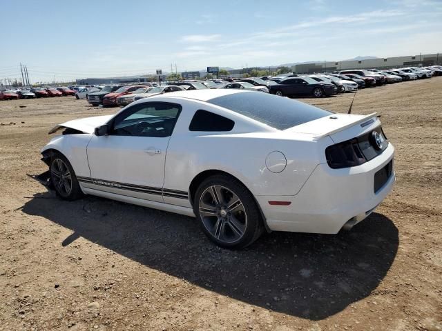 2013 Ford Mustang