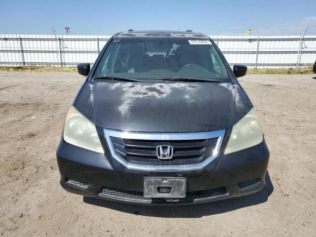 2010 Honda Odyssey EXL