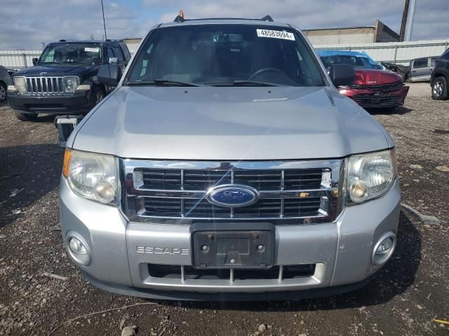 2011 Ford Escape XLT