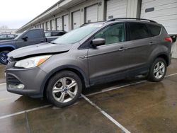 Salvage cars for sale at Louisville, KY auction: 2014 Ford Escape SE