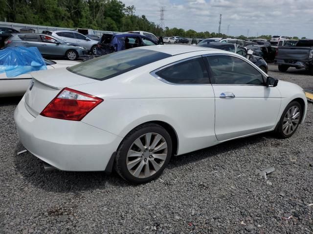 2009 Honda Accord EXL