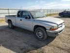 2000 Dodge Dakota