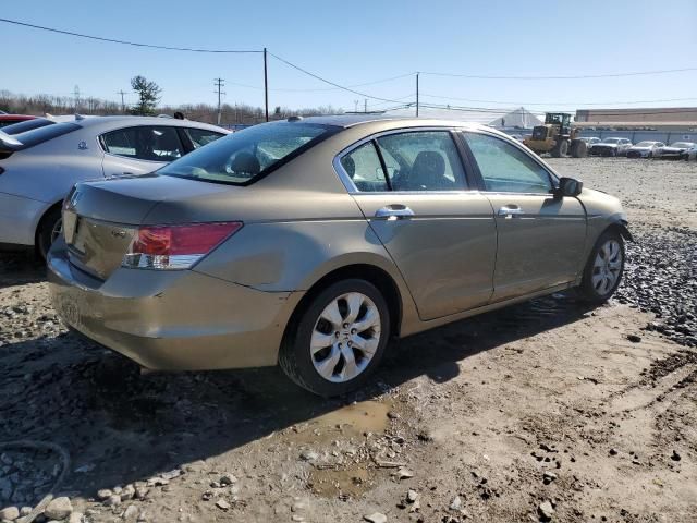 2008 Honda Accord EXL