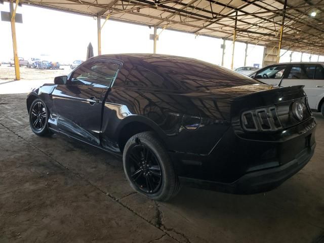 2010 Ford Mustang