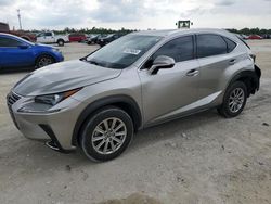 2021 Lexus NX 300 Base for sale in Arcadia, FL