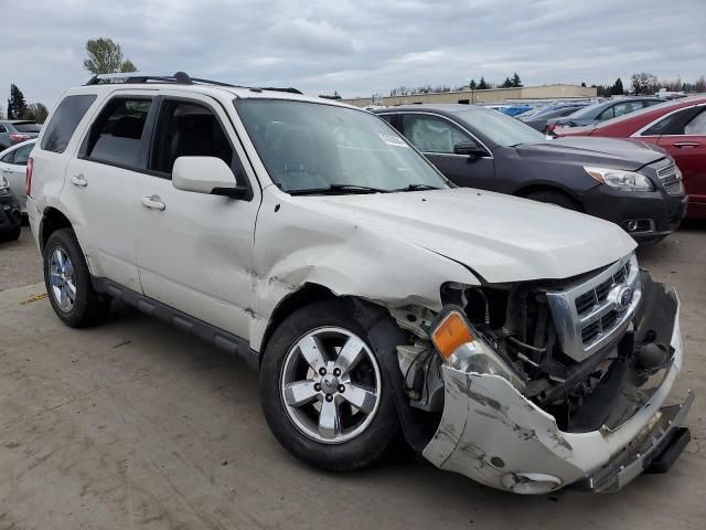 2011 Ford Escape Limited