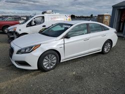 Hyundai Sonata Hybrid salvage cars for sale: 2017 Hyundai Sonata Hybrid