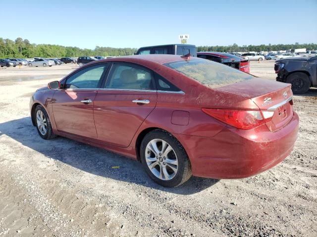 2011 Hyundai Sonata SE