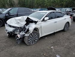 Salvage cars for sale at Graham, WA auction: 2023 Nissan Altima SV