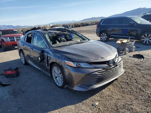 2019 Toyota Camry Hybrid