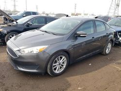 Ford Focus SE salvage cars for sale: 2017 Ford Focus SE