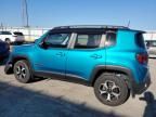 2020 Jeep Renegade Trailhawk