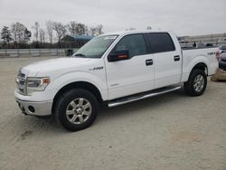 2014 Ford F150 Supercrew for sale in Spartanburg, SC