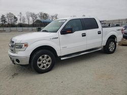 Vehiculos salvage en venta de Copart Spartanburg, SC: 2014 Ford F150 Supercrew