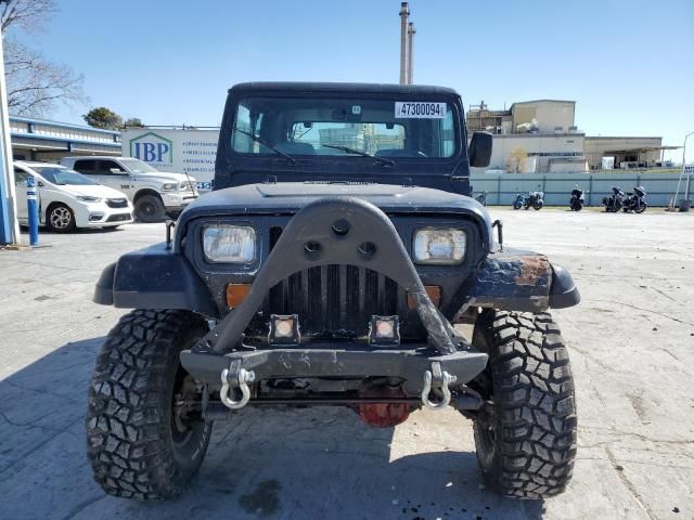 1993 Jeep Wrangler / YJ