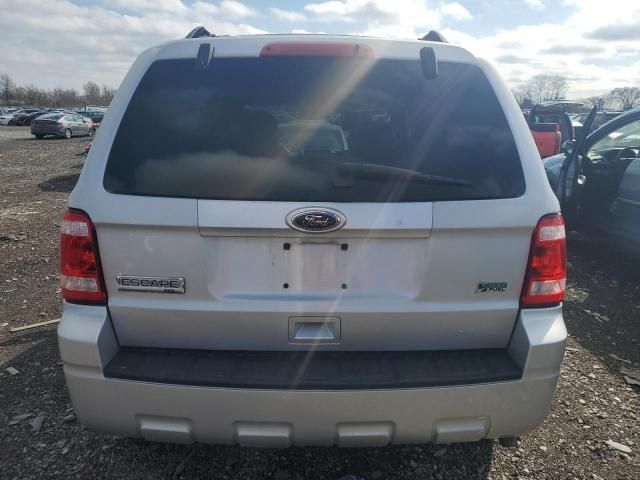 2011 Ford Escape XLT