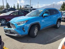 Salvage cars for sale from Copart Rancho Cucamonga, CA: 2019 Toyota Rav4 XLE