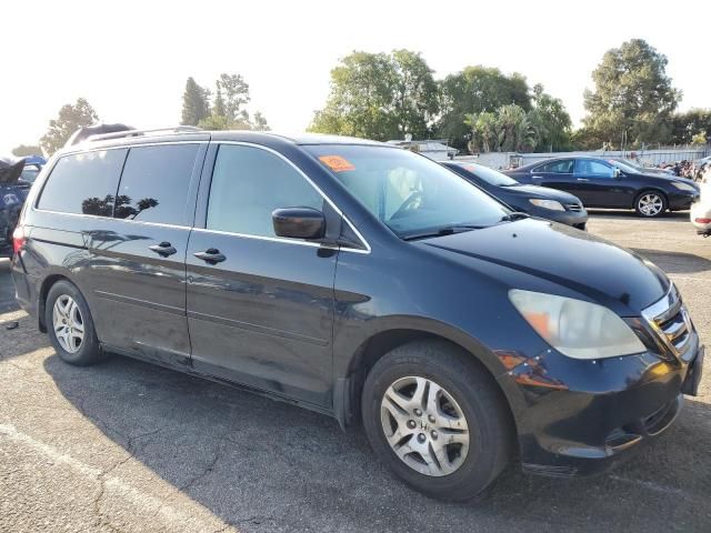 2005 Honda Odyssey EXL