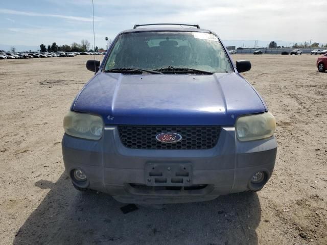 2005 Ford Escape XLT