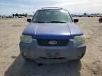 2005 Ford Escape XLT