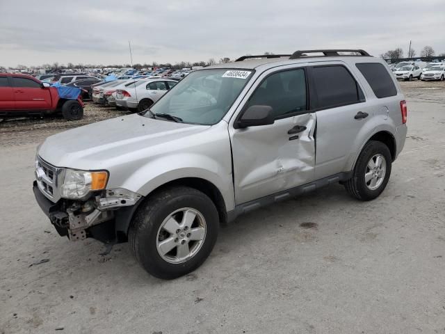 2011 Ford Escape XLT