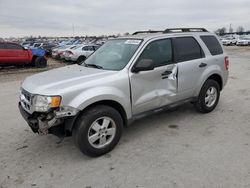 2011 Ford Escape XLT for sale in Sikeston, MO