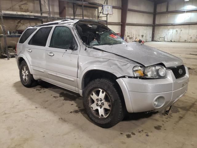 2005 Ford Escape Limited