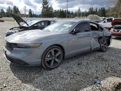 Salvage cars for sale from Copart Graham, WA: 2023 Honda Accord Hybrid Sport