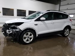 Salvage cars for sale at Blaine, MN auction: 2016 Ford Escape SE