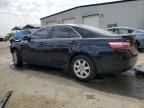 2009 Toyota Camry SE