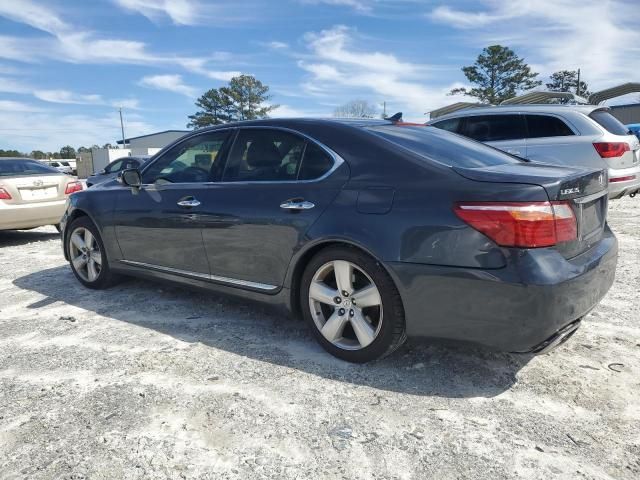 2010 Lexus LS 460