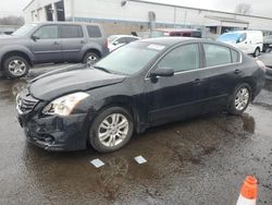 Salvage cars for sale at New Britain, CT auction: 2010 Nissan Altima Base