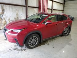 Salvage cars for sale from Copart Gainesville, GA: 2020 Lexus NX 300 Base