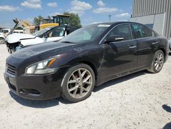 Nissan Maxima salvage cars for sale: 2011 Nissan Maxima S