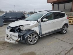 Vehiculos salvage en venta de Copart Fort Wayne, IN: 2013 Ford Escape SEL