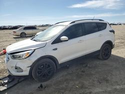 Salvage cars for sale at Earlington, KY auction: 2018 Ford Escape SEL