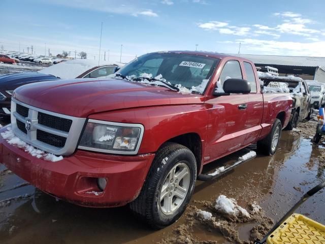 2010 Dodge Dakota SXT