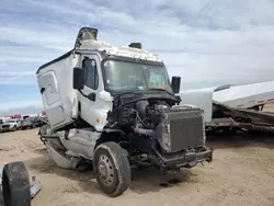 Salvage trucks for sale at Amarillo, TX auction: 2016 Freightliner Cascadia 125