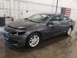 Salvage cars for sale at Avon, MN auction: 2017 Chevrolet Malibu LT