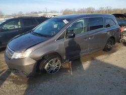 Salvage cars for sale at Louisville, KY auction: 2013 Honda Odyssey EXL