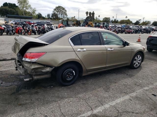 2010 Honda Accord EXL