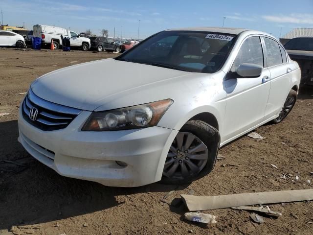 2011 Honda Accord EXL