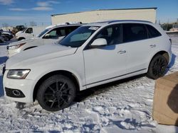 Audi salvage cars for sale: 2015 Audi Q5 Technik