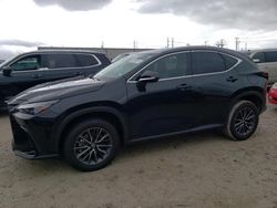 Salvage cars for sale at Haslet, TX auction: 2022 Lexus NX 350