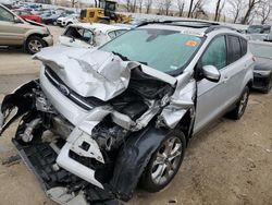 2013 Ford Escape SEL for sale in Bridgeton, MO